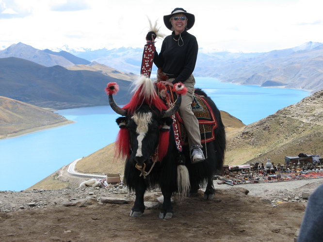 Vikki ready to take on the Western Tibet yak riding champion.